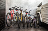 Villa Mana - Family bike ride copy